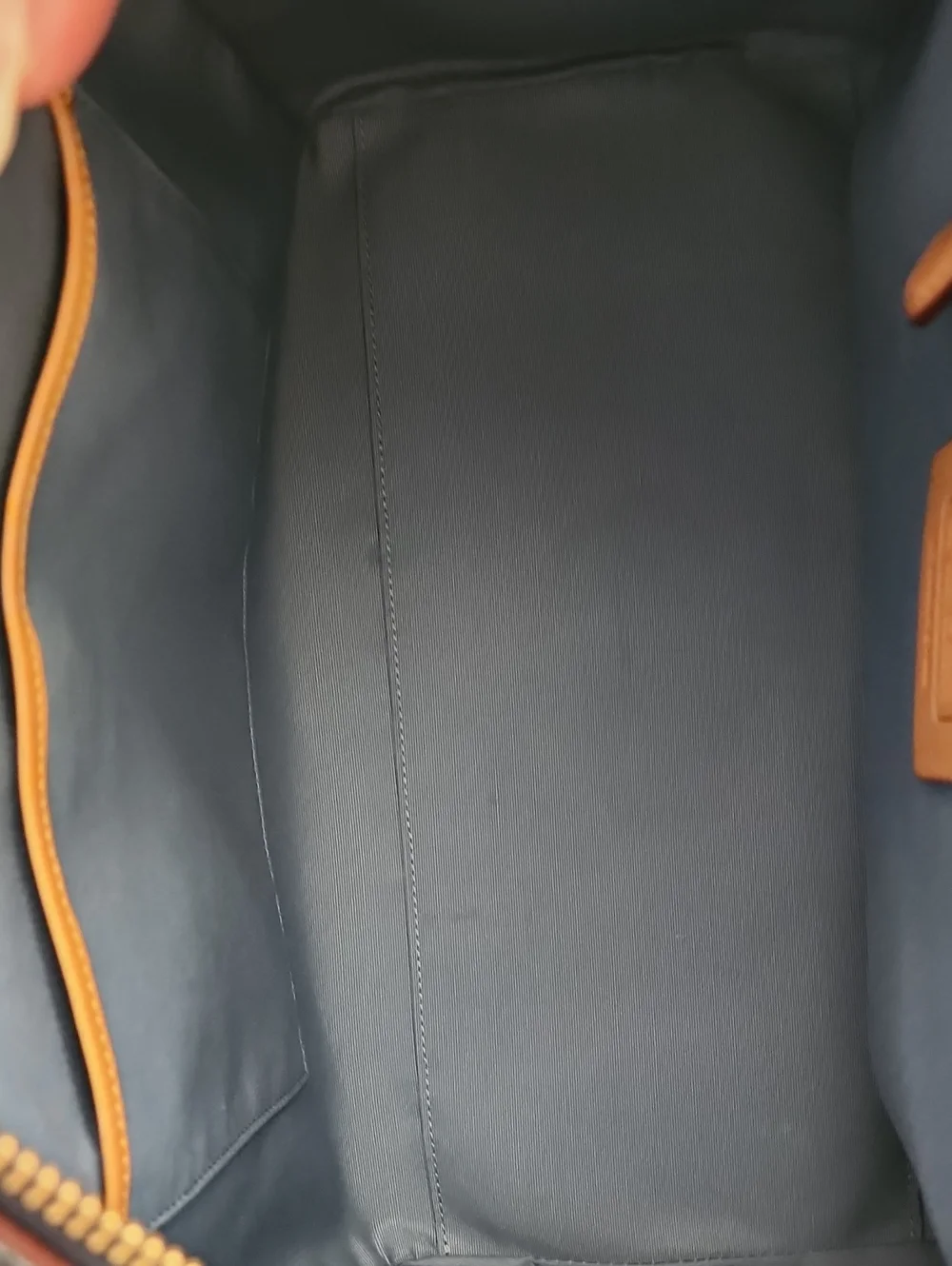 Coach dark signature